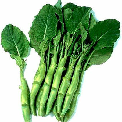 CYBEXIS Chinese Broccoli (Gai-lon)500 Seeds Seed(500 per packet)