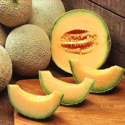 CYBEXIS PUAS-60 - Hybird Musk Melon Dragon Ball - (1350 Seeds) Seed(1350 per packet)