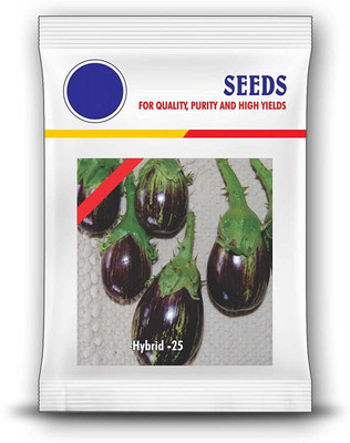 Qualtivate brinjal Seed(100 per packet)