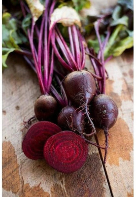MYLAWN Dark Red Beetroot Seed(2000 per packet)