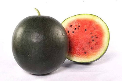 BDSresolve black watermelon seeds/Watermelon seed 59 Seed(59 per packet)