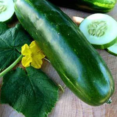 Avysa Long Green Imp. Slicing Cucumber-CuC_391 Seed(80 per packet)