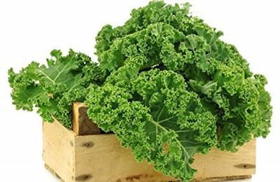 CYBEXIS Hybrid Collard Seeds2000 Seeds Seed(2000 per packet)