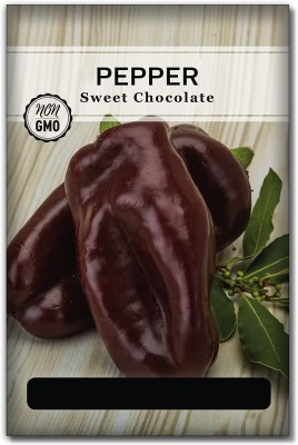 Biosnyg GUA-27 Sweet Chocolate Capsicum Bell Pepper Seed-[200 Seeds] Seed(200 per packet)