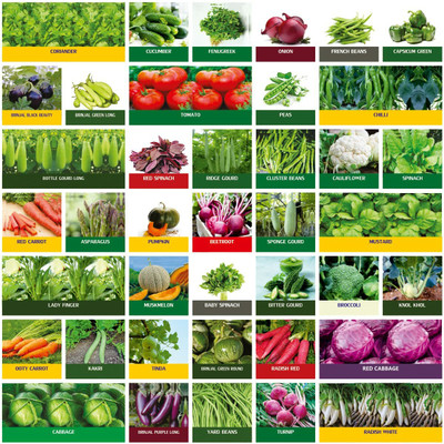 Greenery Hub 40 Variety Vegetable Seeds Combo Pack Seed(40 per packet)