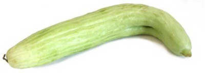 Qualtivate HUA-3A Disease Resistant Kakdi / Long Melon Seed Seed(200 per packet)