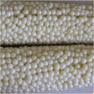 Qualtivate RES-1A Country Gentlman White Corn Seeds Seed(400 per packet)
