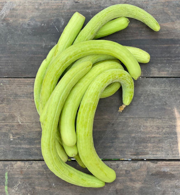 CYBEXIS KGF -20 - Hybrid Long melon kakdi kakri - (450 Seeds) Seed(450 per packet)