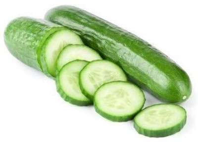 WILLVINE High Germination CUCUMBER Seeds-[2000 Seeds] Seed(2000 per packet)