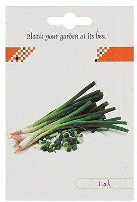 CYBEXIS Imported Spring Onion/Leek Hybrid Seeds1000 Seeds Seed(1000 per packet)