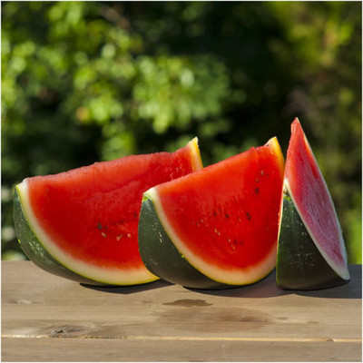 CYBEXIS HUA-31 - Sweet Sugar Baby Watermelon - (150 Seeds) Seed(150 per packet)