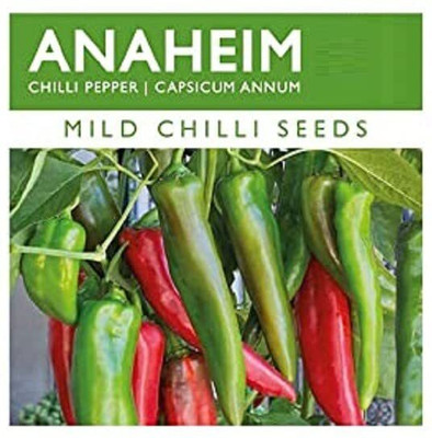 WILLVINE NKR -XI Triple Disease ResistentHybrid Jwala Pariksha Chilli Seeds[25gm] Seed(5000 per packet)