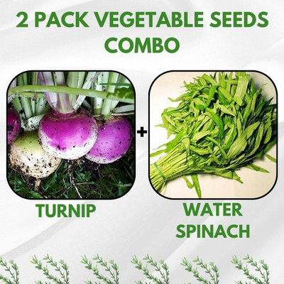 Infiniteseeds 2 Pack Combo Of Turnip And Water Spinach Vegetable Seeds Seed(50 per packet)