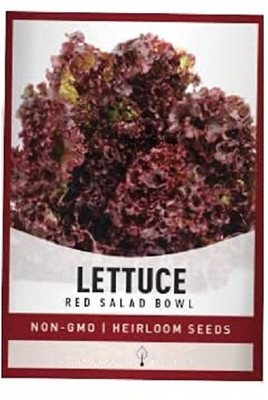 Qualtivate AXL-1AT Red Salad Bowl Lettuce Seed(300 per packet)