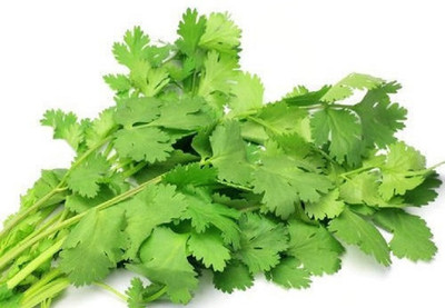 CEZIUS Easy to Grow Coriander organic-b8L Seed(190 per packet)