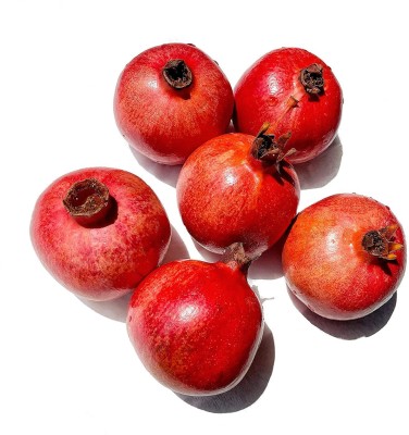 CYBEXIS LXI-39 - Rare Fruit Big Pomegranate - (270 Seeds) Seed(270 per packet)