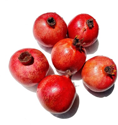 VibeX XLR-6 - Rare Fruit Big Pomegranate - (90 Seeds) Seed(90 per packet)