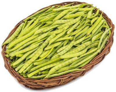 Quentova Cluster Beans / Gavar-7R-RJ Seed(50 per packet)