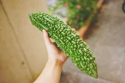 Oliver F1 BEST QUALITY BITTER GOURD SEEDS Seed(19 per packet)