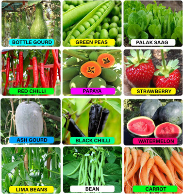 abiswas All Season Vegetable Combo Pack With High Germination Seed(2300 per packet)