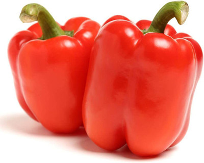 CYBEXIS Red Capsicum Bell Pepper Seeds600 Seeds Seed(600 per packet)