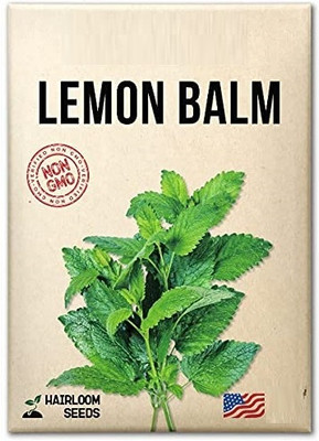 Qualtivate ATS-117 Lemon Balm Seeds Seed(500 per packet)
