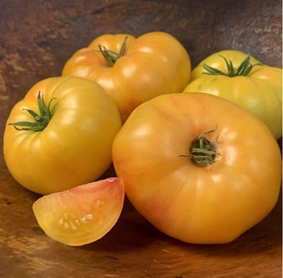 WILLVINE tomato Seed(7500 per packet)