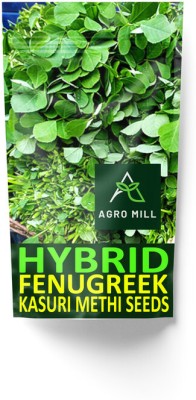 AGRO MILL ORGANIC KASURI METHI/FENUGREEK/KASOORI METHI HYBRID SEEDS FOR KITCHEN GARDEN Seed(100 per packet)