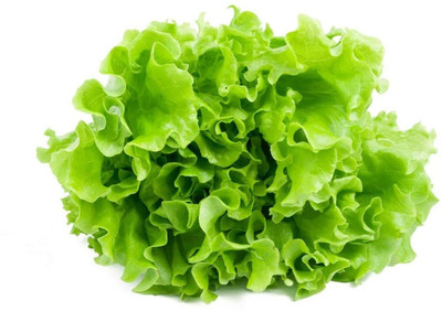 Aywal Gourmet Blend Lettuce Seed(10 per packet)