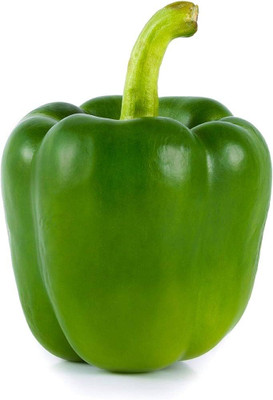 BDSresolve bell pepper seeds for home garden/capsicum seed 27 Seed(27 per packet)