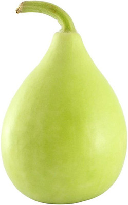 Cloud Farm ™ Quick germination Bottle Gourd Hybrid Seed Packet Seed(30 per packet)