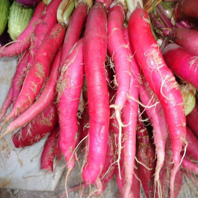 Aywal Vegetable Red Radish Seeds For Kitchen Garden Seed(1300 per packet)