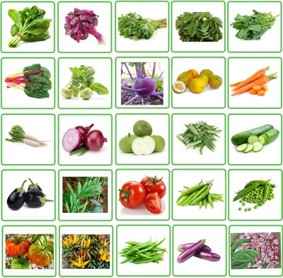 ibains Terrace garden combo vegetable seeds Seed(630 per packet)