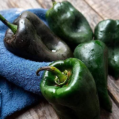 Biosnyg Non GMO Ancho Poblano Hot Pepper Vegetable Seeds For Gardening-(4000 Seeds) Seed(4000 per packet)
