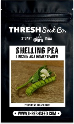 Qualtivate GBPT-2A Homesteader Shelling Pea Seed(200 per packet)