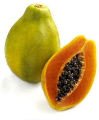 KLARKEE Sweet Papaya Carica papaya Seed Seed(20 per packet)