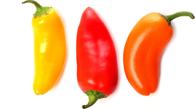 Biosnyg Easy to Grow Hot Santa Fe Grande Pepper Seeds for Home Gardening-(400 Seeds) Seed(400 per packet)