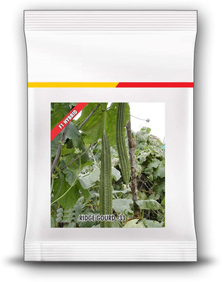 Qualtivate GBPT-4A Acutangula Angled Ridge Gourd Turai Seed(50 per packet)