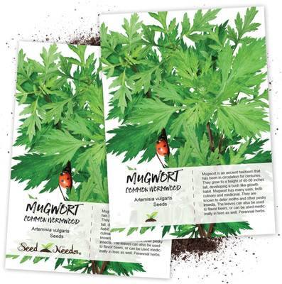 WILLVINE Mugwort Herb (Artemisia vulgaris)-2 x Packet Seed(200 per packet)