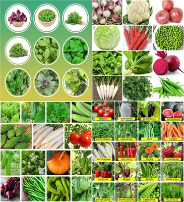 ibains Organic vegetable seeds combo pack beez 204 Seed(204 per packet)
