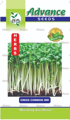 GARDENIFY INDIA GARDENIFY INIDA COMMON CRESS - A FLAVORFUL ADDITION TO YOUR GARDEN PLANT &SEED Seed(30 per packet)