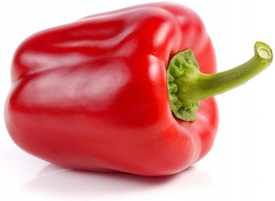 VASUDHA BIG RED Bell PEPPER Sweet Capsicum Seed(1000 per packet)