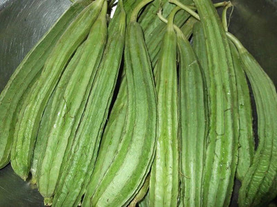 wequality ridge gourd seeds desi/Ridge guard seed 9 Seed(9 per packet)