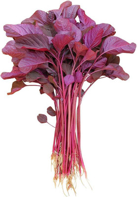 wequality all season spinach seeds/red spinach seeds 76 Seed(76 per packet)