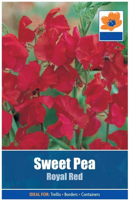 CYBEXIS Sweet Pea Royal Red Seeds Seed(50 per packet)