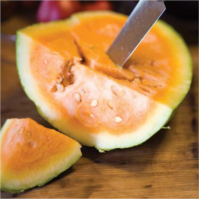 Qualtivate RES-4A Orange Watermelon (Citrullus lanatus) Seed(100 per packet)