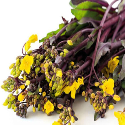 WILLVINE VNR -XI Purple Choy Sum Chinese Cabbage [25g] Seed(7500 per packet)