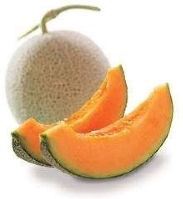 WILLVINE Cantaloupe Seeds - Musk Melon Golden-[200 Seeds] Seed(200 per packet)