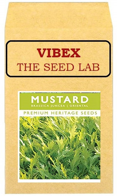 CYBEXIS Green Mustard Hybrid Seeds2000 Seeds Seed(2000 per packet)