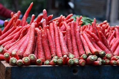 KANAYA Carrot / Gajar Seed(18 per packet)
